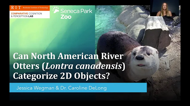 Jessica Wegman Otter Presentation