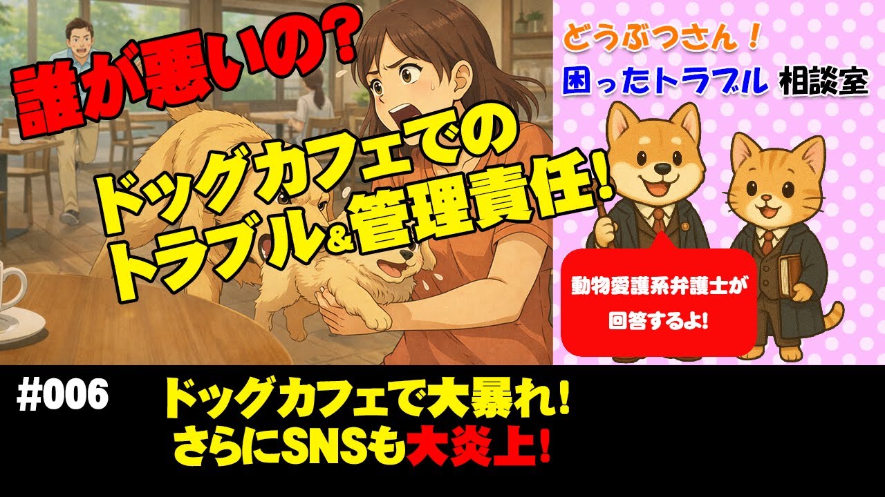 006 ドッグカフェで愛犬が他の犬を噛んでしまったら？　#ペットのトラブル #ペット問題 #法律相談 #ドッグカフェで暴走 #女性弁護士