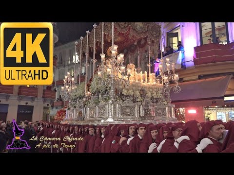 Excelentísima, Muy Ilustre y Venerable Hermandad y Cofradía de Nazarenos de Nuestro Padre Jesús de la Columna y María Santísima de la O