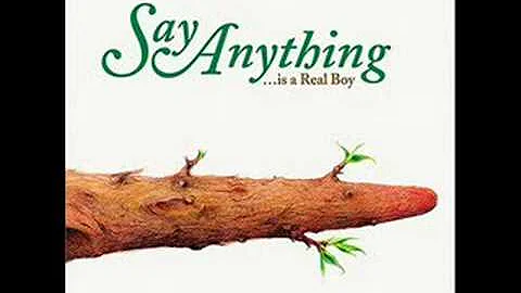 Say Anything - The Writhing South - DayDayNews