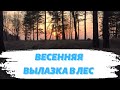 Весенняя охота: утки и бобры