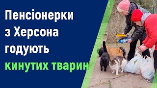 Херсонські пенсіонерки годують котів та собак, яких покинули господарі