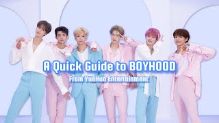 A Guide to BOYHOOD
