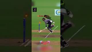 😱 Impossible Run Out & Stumping 🔥 | Crazy Cricket Moments | #shorts #bangladesh #cricketshorts
