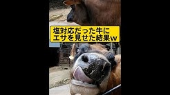 とある40代フリーターの日常 Youtube