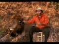 Recep Ivedik 4 Full Izle