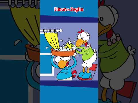 Perde 😆 #LimonileZeytin