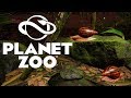 ПЕРВЫЕ ЭКСПОЗИЦИИ #8 PLANET ZOO ПРОХОЖДЕНИЕ