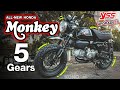 All-New Honda Monkey 2021 | My new bike