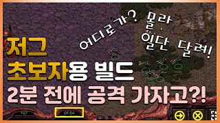 스타크래프트 저그 초보자용 빌드. 입문자면 따라해보자! ㅣ 스타초보 입문자 빌드 쉬운빌드 zerg 기초 기본