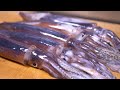 スルメイカを捌く イカワタ焼きと握り寿司になるまで~How to cut up Japanese common squid~