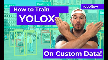 How to Train YOLOX on a Custom Dataset