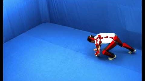 Markerless Motion Capture