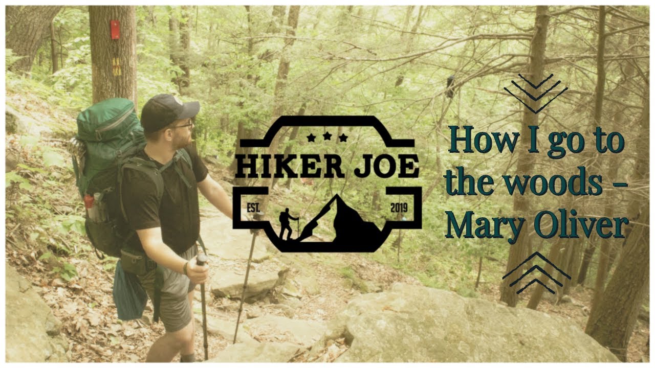 How I go to the Woods, by Mary Oliver Cinematic