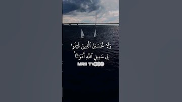 ماهر المعيقلي - سورة آل عمران ( برواية حفص عن عاصم ) الأية 169