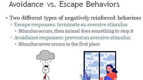 PSYC 370 Video Lecture - Theories of Avoidance
