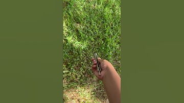 Balisong/Butterfly Knife Quick Draw Trick