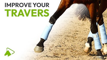 Learn to Ride Lateral Movements | From Shoulder Fore to Half Pass | wehorse