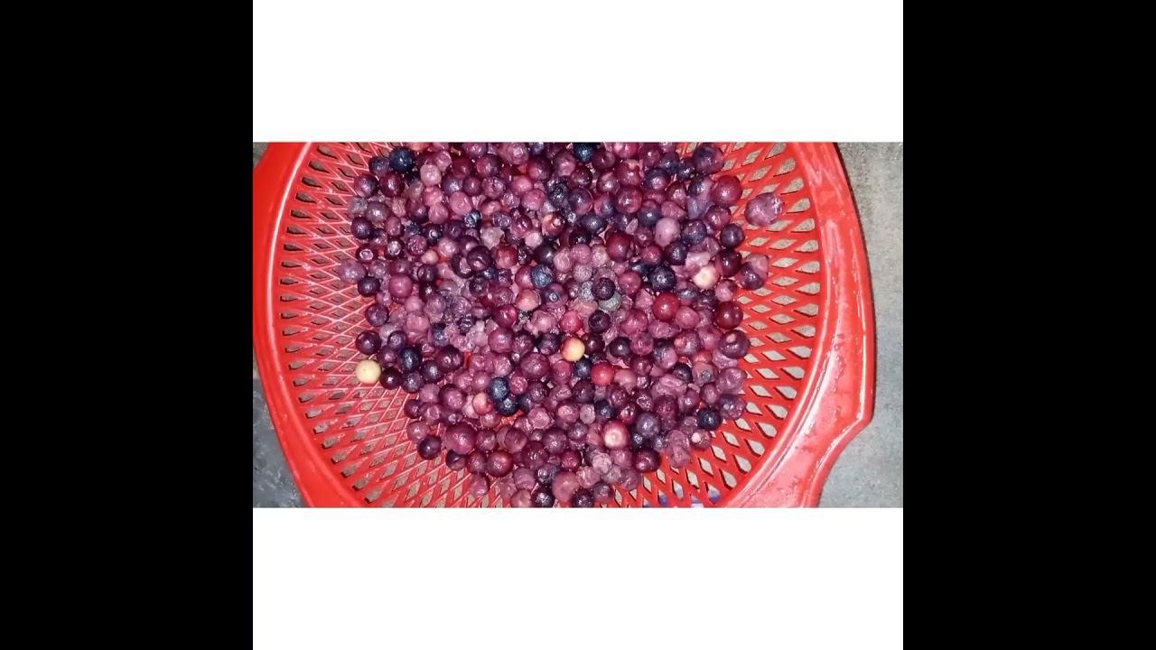 phalse ka juice😋🥂🍓