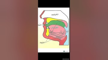 🔅التجويد الميسر:6//تابع صفات الحروف غير المتضادة:الاستطالة/الخفاء/الغنة:المعلمة:🔶ريهام وجيه#