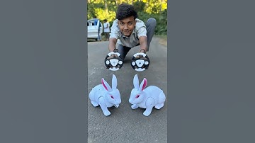RC Remote wala 2 Rabbit ka Testing Deko🐇