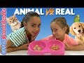 Comida de animales vs real probando comida de perros y gatos