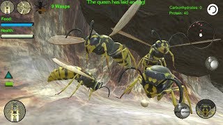 Wasp Nest Simulator (by hskdev) Android Gameplay [HD] screenshot 5