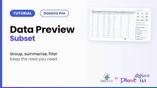 Data Preview · Subset | DataViz Pro Tutorial