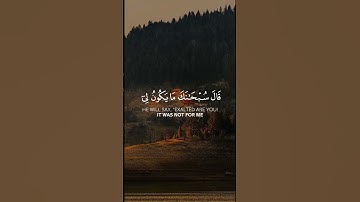 سورة المائدة الآية 116