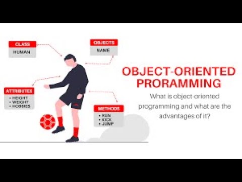 Introduction To Object Oriented Programming - YouTube