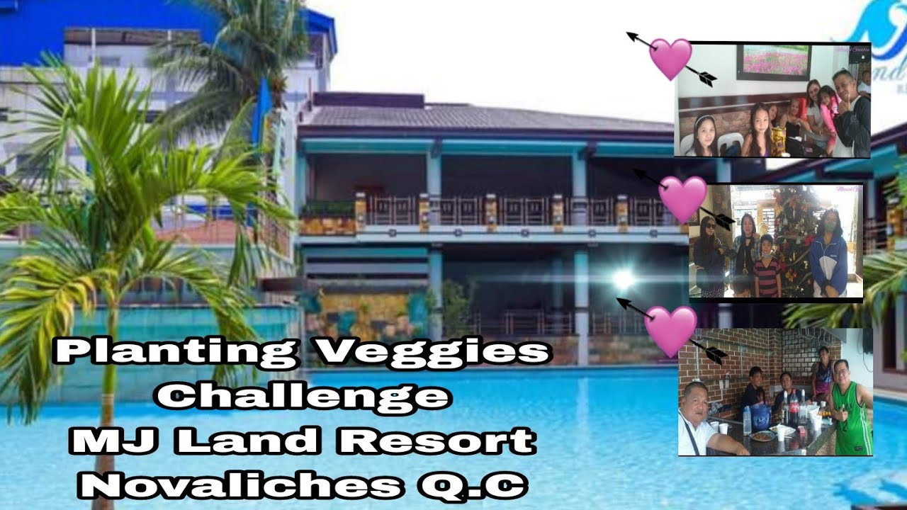 Planting Veggies Challenge /Class Reunion Novaliches Elementary School ...