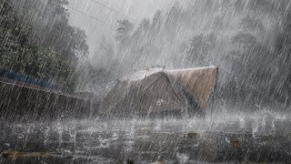 CAMPING IN THE HEAVY RAIN ‼️ Setting up a Tent in Heavy Rain ⛈️ RELAXING RAIN CAMPING IN LAKE [4K]🎧