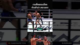 รวมช็อตน็อค "เสมาเพชร แฟร์เท็กซ์" ซ้ายฟ้าผ่า !!! | Saemapetch Fairtex K.O. #มวยไทย #เสมาเพชร