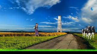kannulapaalaootha High Quality Echo     