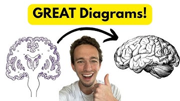 Cerebral Cortex Explained: Lobes, Functions, & Neural Connections | Brain Anatomy
