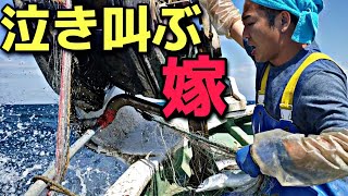 まいろ船長的漁師の考え こっぺつ言いながら教えます 糸魚川の方言 第２話 Youtube