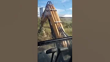 Почему нельзя разрушать гнездо шершней, даже если у тебя есть экскаватор – t.me/ZHelayu_Vsyo_Znat