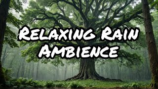Forest Rainstorm Ambience: Relaxing Sounds of Heavy Rain in the Woods | Java Forest wednesday