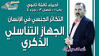 شرح أحياء ثانوية عامة | التكاثر في الإنسان - الجهاز التناسلي الذكري | باب1-فصل3-ج4 | الاسكوله