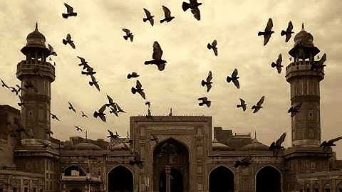 سورة النمل من 45-75 #أحمدالعبيد