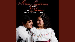 Video thumbnail of "Dúo Mahler-Floril - Poncho Verde / Tonada"