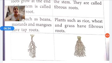 Science class 4 chapter 6 video 1