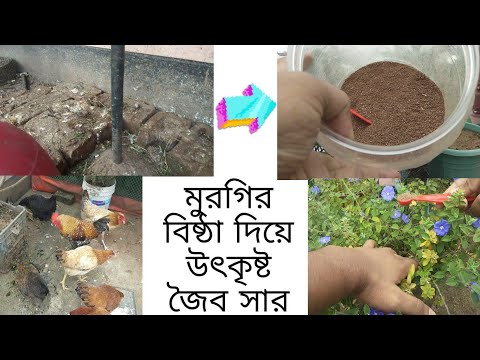 ভিডিও: শিক্ষা ঋণের সুবিধা এবং অসুবিধা: বিশেষজ্ঞদের মতামত