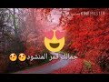 نجواكرم حب عندي مالو حدود 