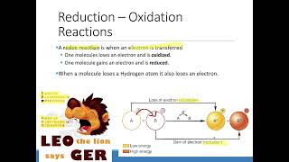 6.4 Oxidation Reduction Reactions and Metabolism
