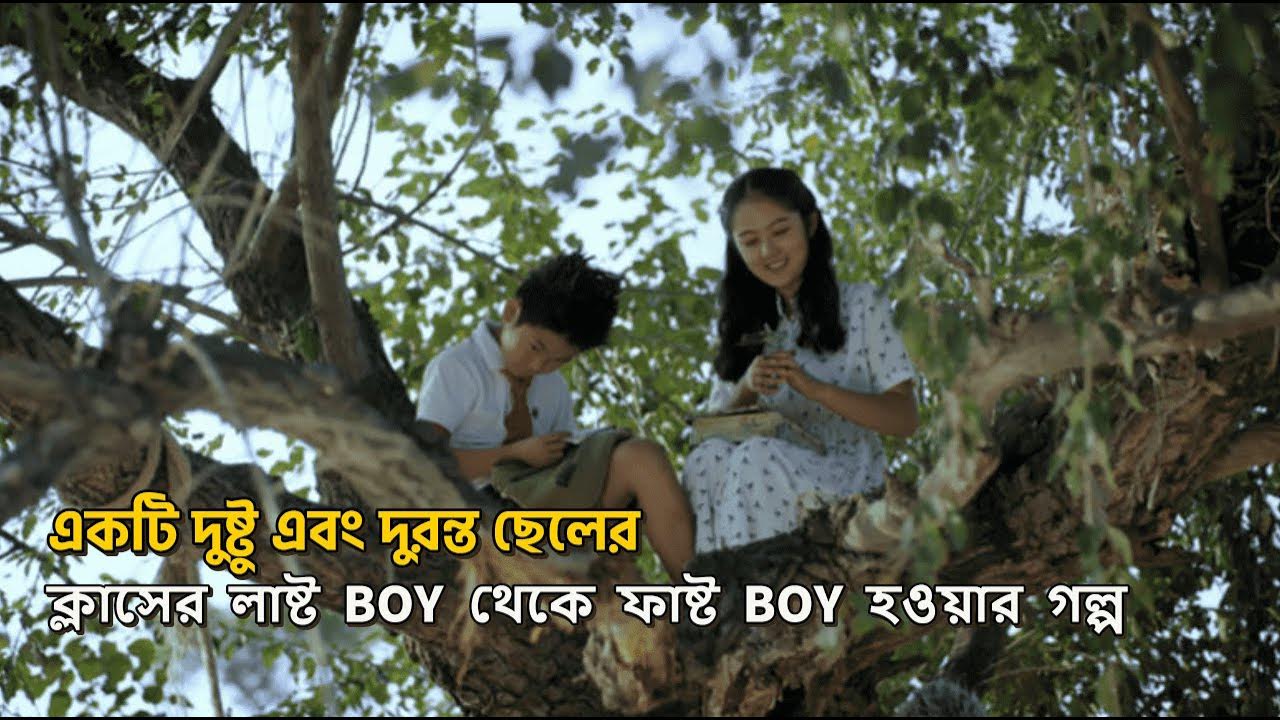 একটি দুষ্টু ছেলের গল্প । The Home in the Tree (2019) Movie Explain In Bangla. Film review house