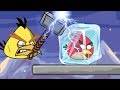 Rescue Angry Birds - FREEZE RED ANGRY BIRDS NEED RAIN WATER!!