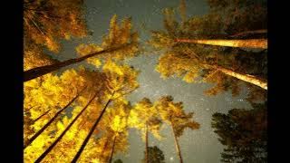 Stars Night 4 Part A