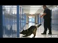 Police Dogs Searched My Locker...(suspended from school) *storytime*