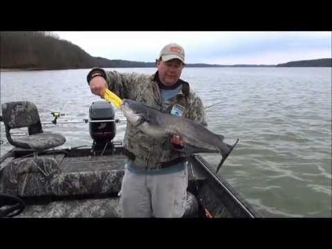 catfish pickwick dam big trolling barton brian